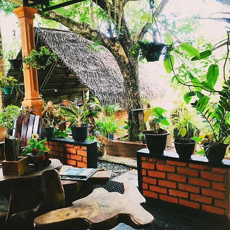 Oleena Home Stay Habarana Dış mekan fotoğraf