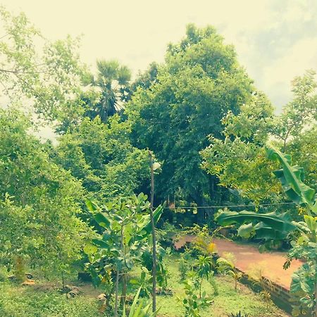Oleena Home Stay Habarana Dış mekan fotoğraf