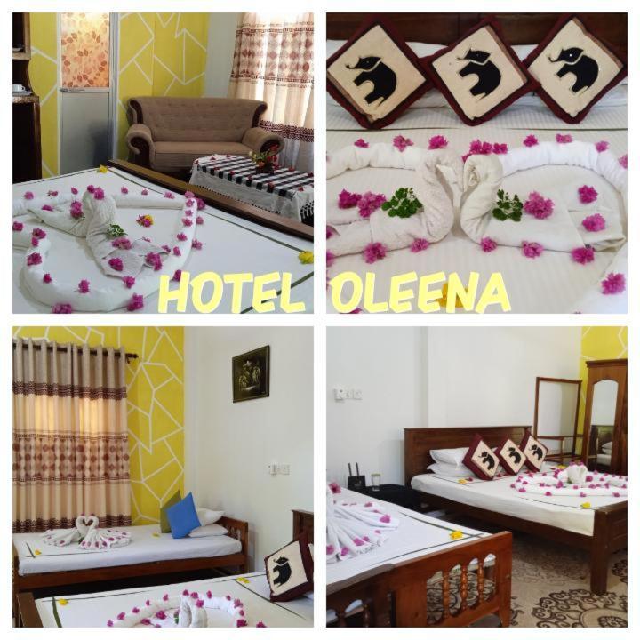 Oleena Home Stay Habarana Dış mekan fotoğraf