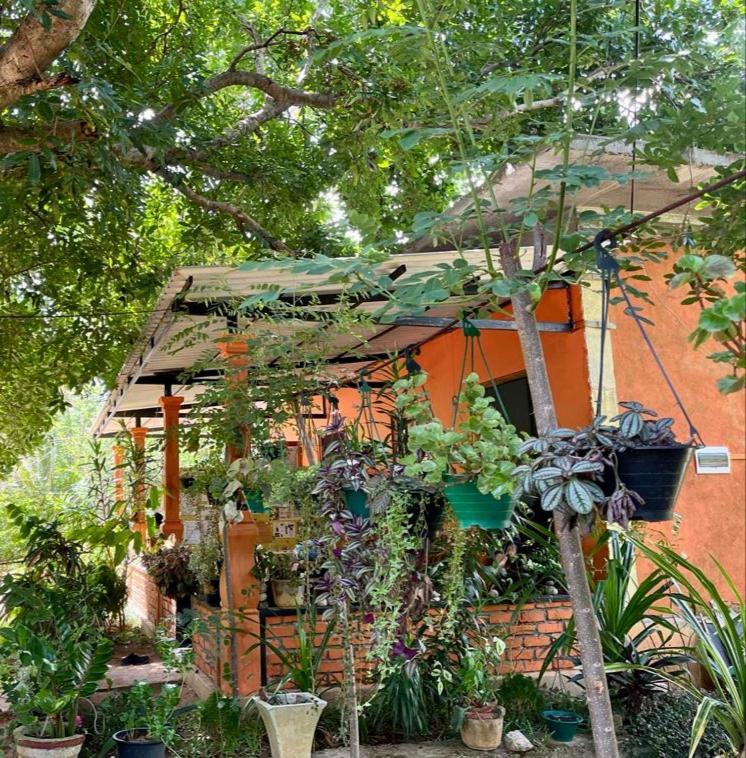Oleena Home Stay Habarana Dış mekan fotoğraf