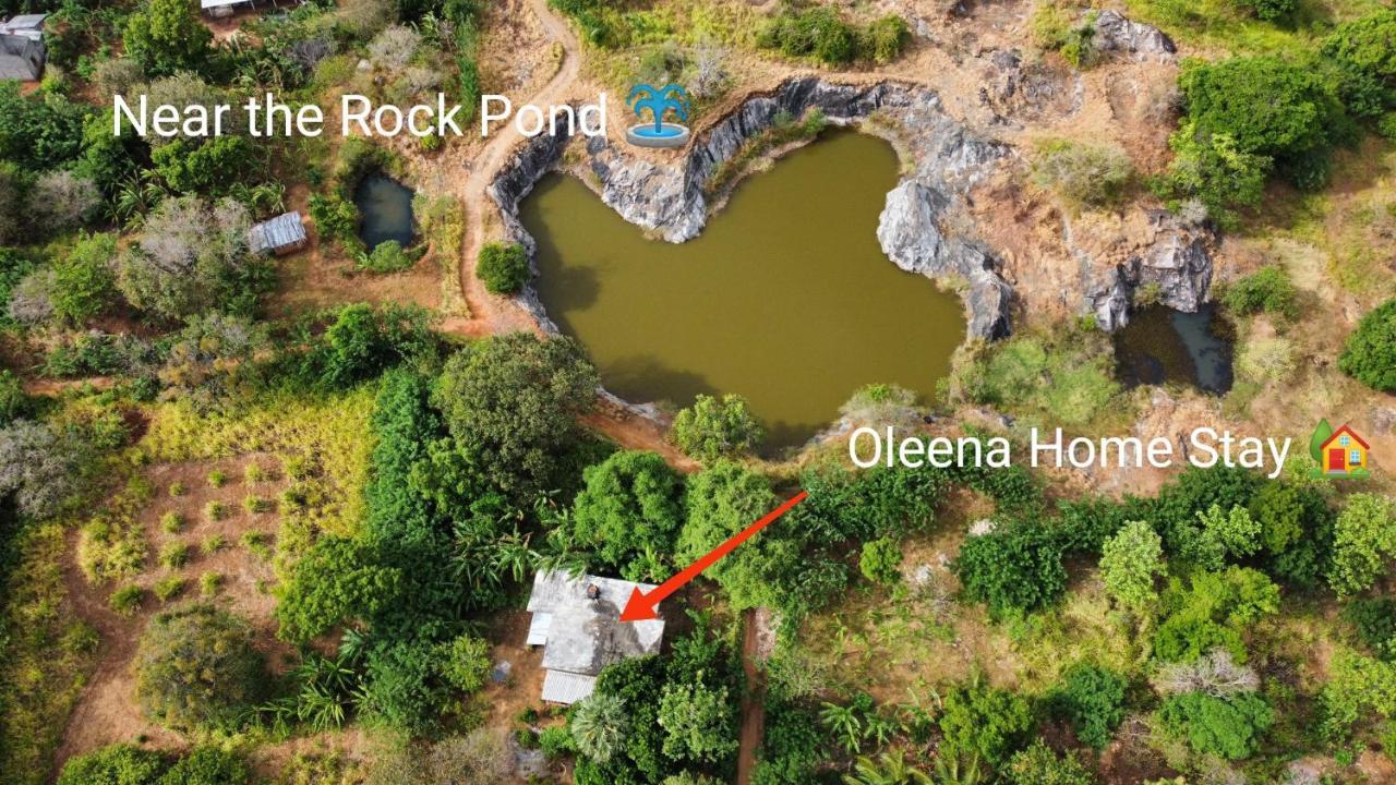 Oleena Home Stay Habarana Dış mekan fotoğraf