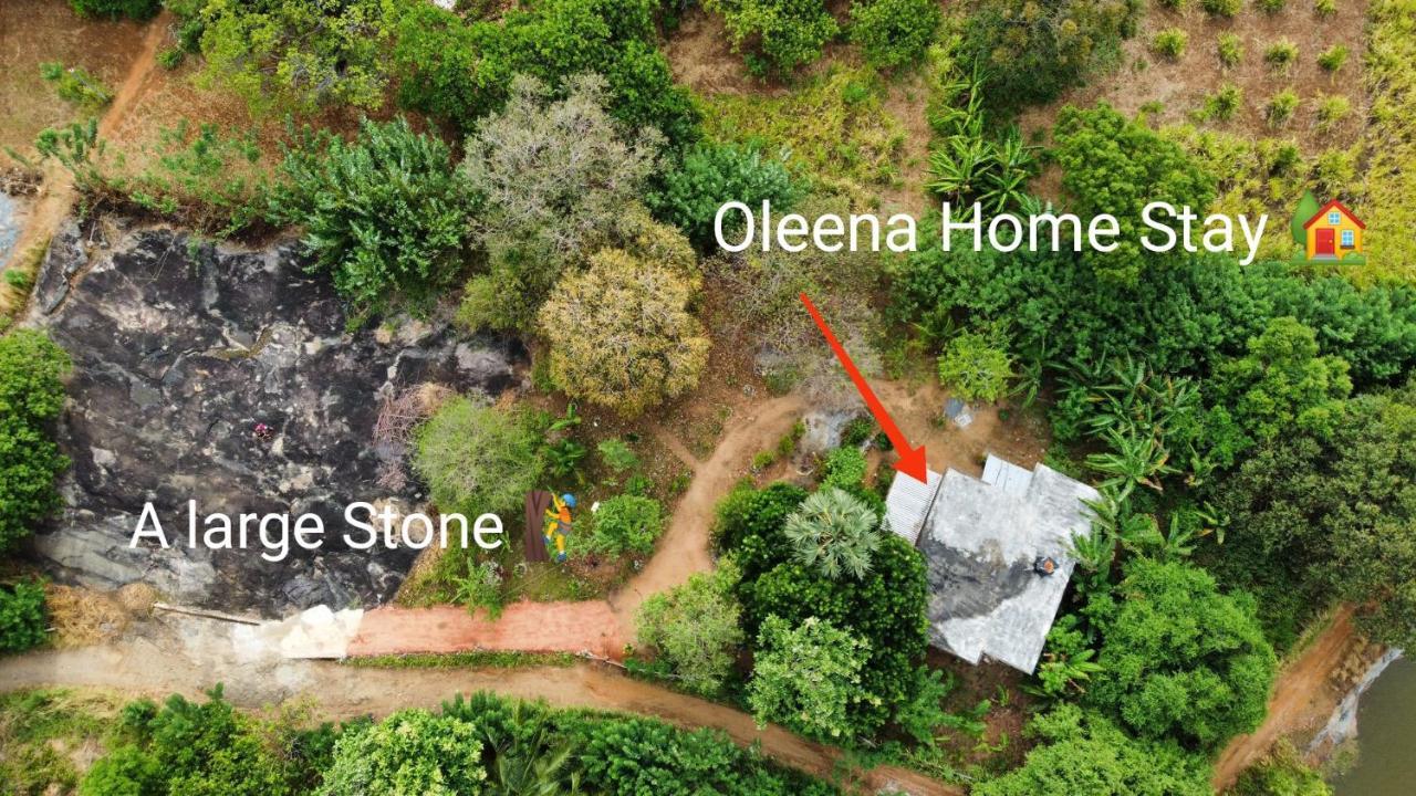 Oleena Home Stay Habarana Dış mekan fotoğraf