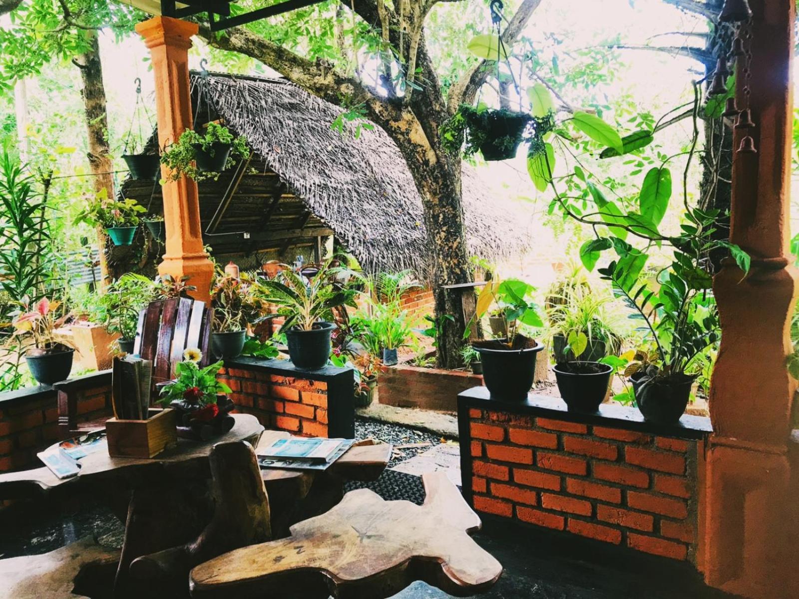 Oleena Home Stay Habarana Dış mekan fotoğraf