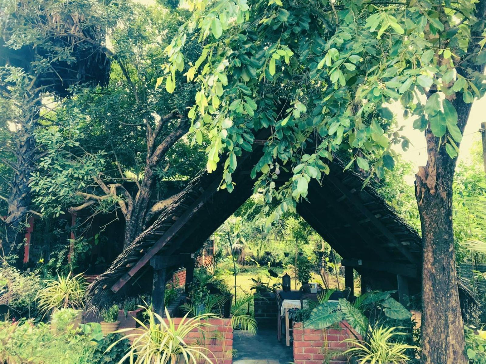 Oleena Home Stay Habarana Dış mekan fotoğraf