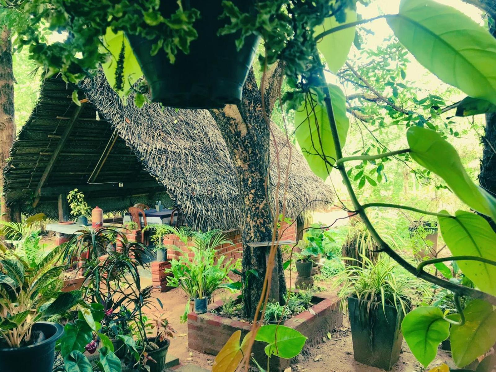 Oleena Home Stay Habarana Dış mekan fotoğraf