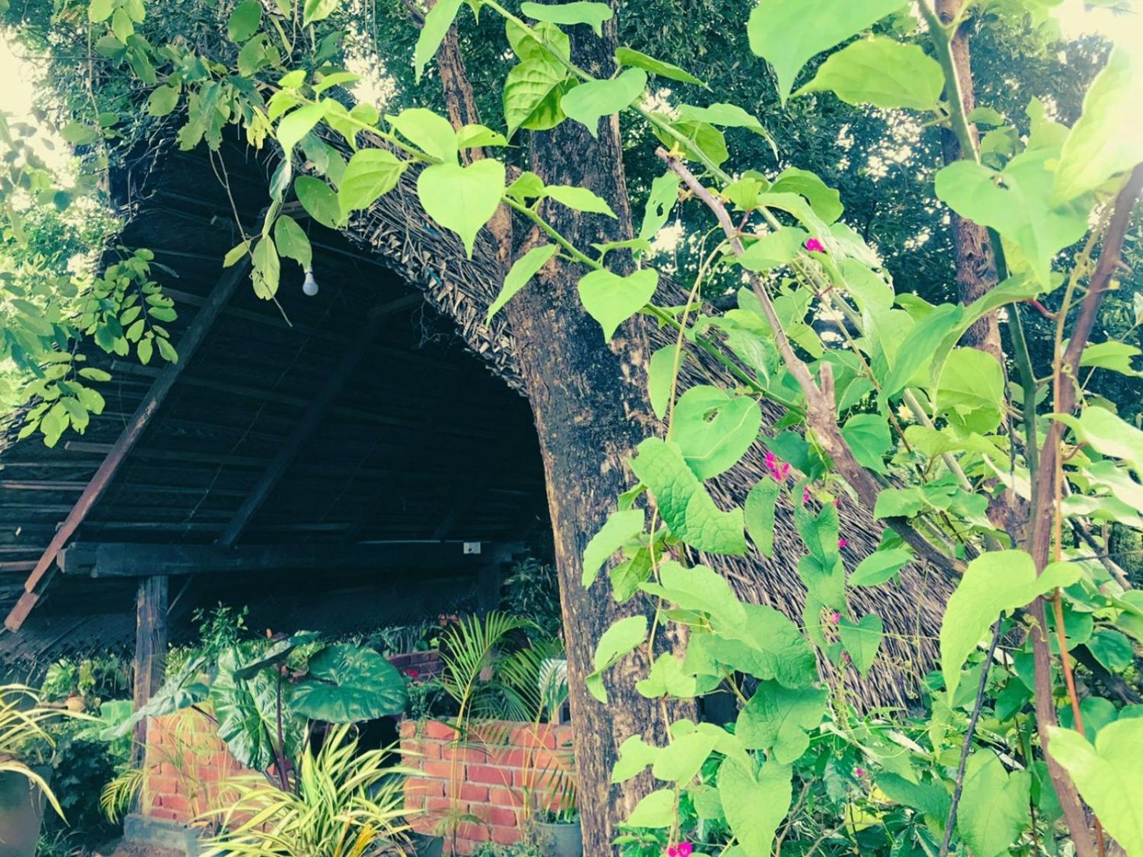 Oleena Home Stay Habarana Dış mekan fotoğraf